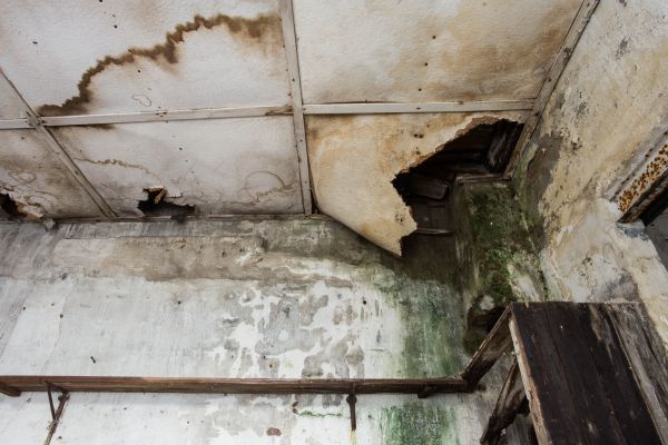 Water Damage Service in York