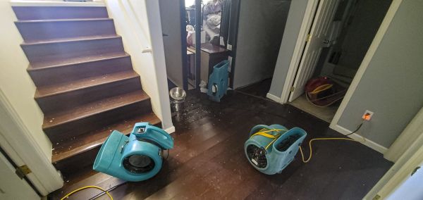 Water Damage Remediation in York