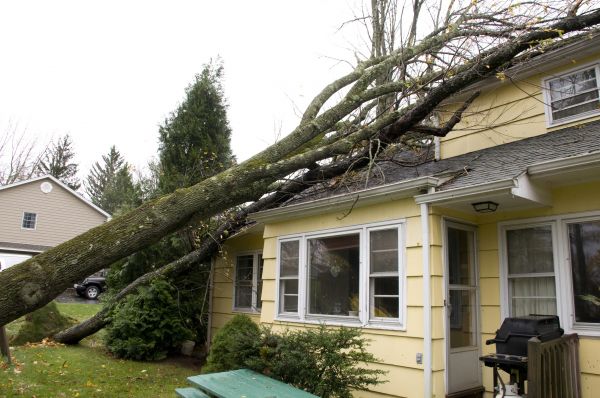 Hurricane Damage Repair in York